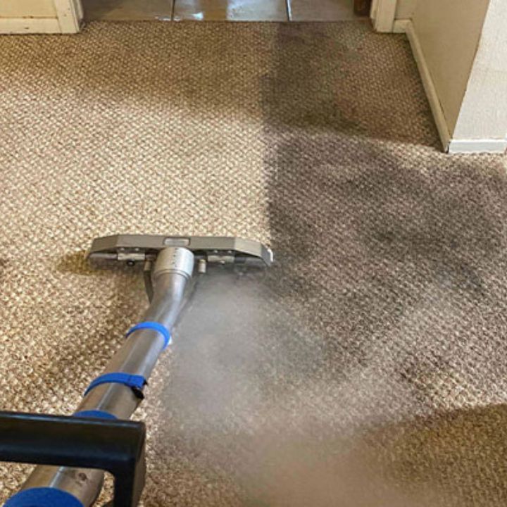 Carpet cleaning in Hampstead