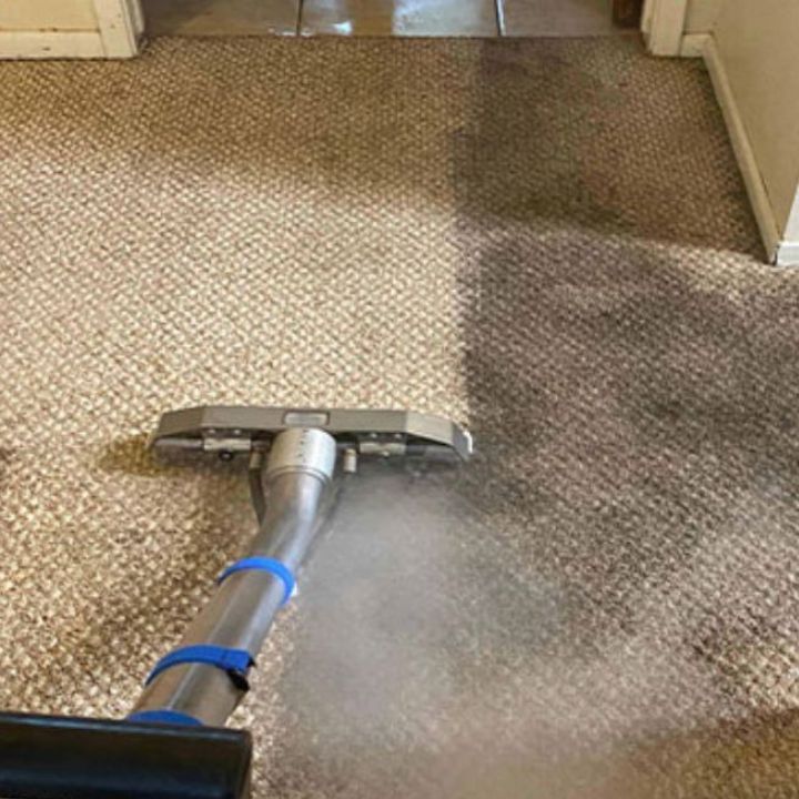 Carpet cleaning in Highgate