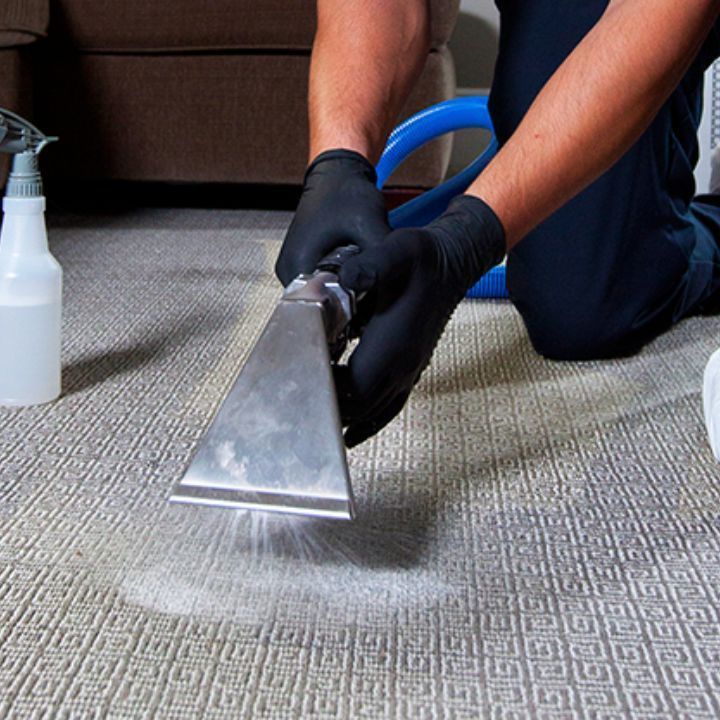 Carpet Cleaning in St. John's Wood